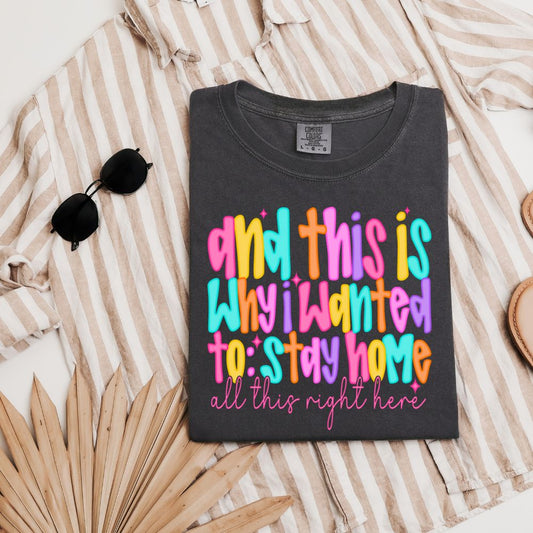 This Is Why I Wanted to Stay Home Graphic T-Shirt |Funny Introvert